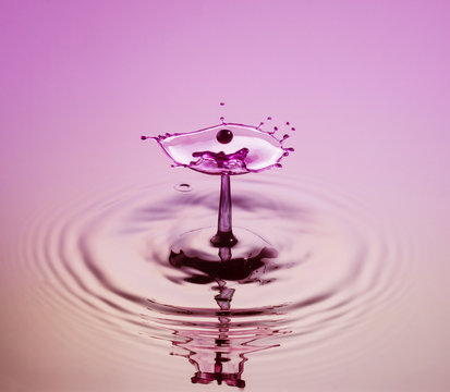 Mauve Flower