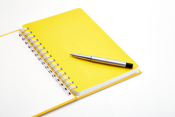 Pen and a notebook