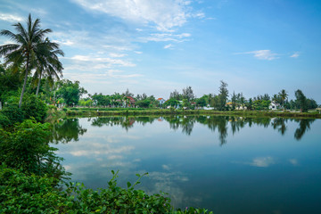 Countryside with coconut trees and lake