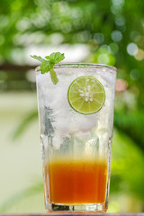 Fresh drink honey lemon soda with lime slice and mint on green b