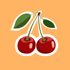 Vector cherry illustration