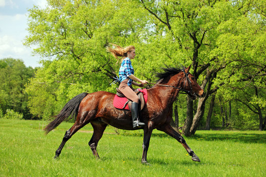 Beautiful girl galloping horse in summer park