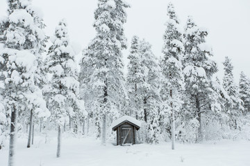View of house surrounded with snow covered trees