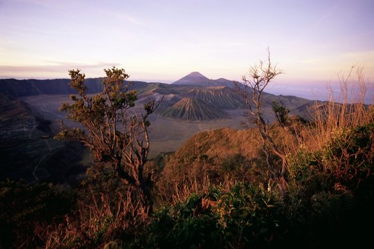 Sunrise over volcanic landscape, Bromo Tengger Semeru (Bromo-Tengger-Semeru) National Park, Java, Indonesia