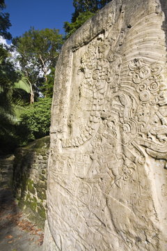 Stela 9 erected in AD 625 to commemorate the accession of Lord Smoking Shell in 608, shown in ceremonial regalia, Lamanai, Belize