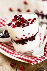 Cranberry dessert