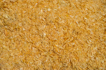 wood shavings