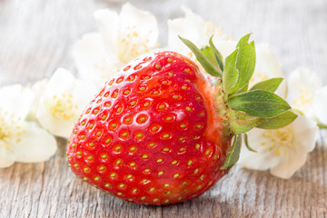 Ripe strawberry and white flowers