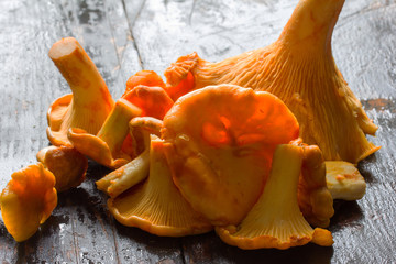 Fresh cut the raw yellow forest mushrooms chanterelles on the old black wooden tablecloseup....