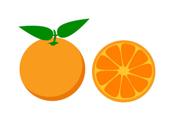 Orange isolated vector illustration.