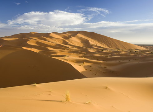 Rolling orange sand dunes and sand ripples in the Erg Chebbi sand sea near Merzouga, Morocco