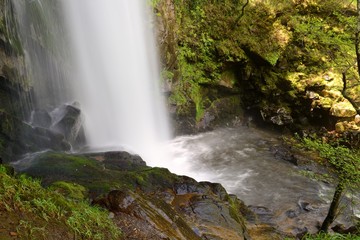 Fototapeta na wymiar blurred image of water in the waterfall