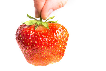 Strawberry in woman's hand