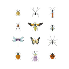 Vector collection of insects made in modern flat style.