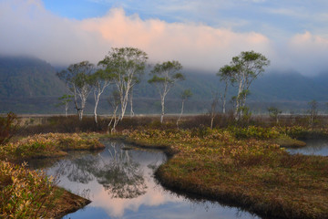 早春の尾瀬ヶ原