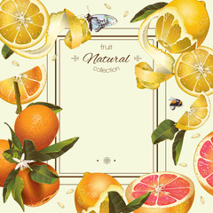 Vintage citrus frame - 113053402