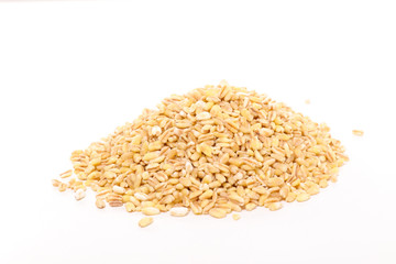 barley grain