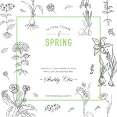 Floral Frame. Invitation Card. Wedding Card. Baby Shower Card. Vector