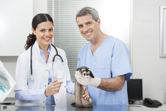 Female Doctor Giving Injection To Weasel Held By Nurse