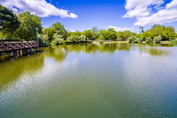 boardwalk on small lake