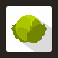 Cabbage icon in flat style