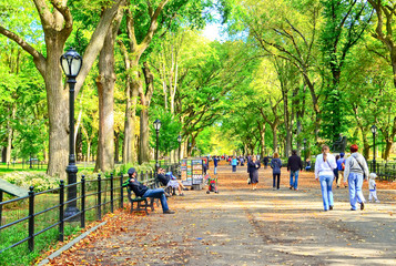 Obraz premium Widok na Central Park z kilkoma sprzedawcami i przechodzącymi ludźmi
