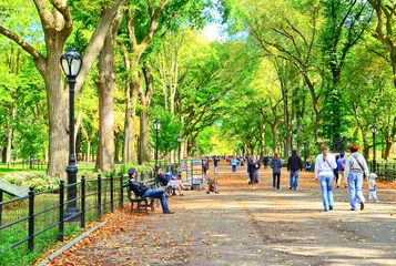 Foto op Aluminium New York Uitzicht op het Central Park met enkele verkopers en passerende mensen