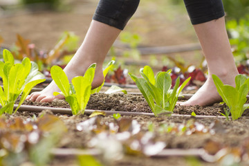 piedini di bimba che cammina in un orto