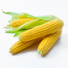 Corn on white background