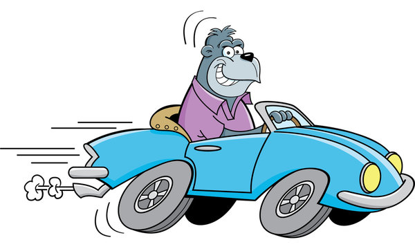 Cartoon illustration of a gorilla driving a car.