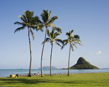 View of Chinaman's Hat from beach, Oahu, Hawaii, USA