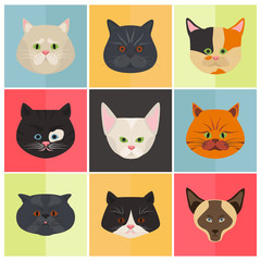 Cats color flat set icon