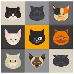 Cats color flat set icon