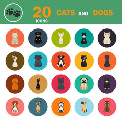 Cats and dogs color flat icon