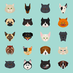 Cats and dogs color flat icon