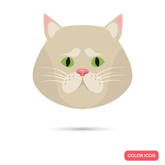 Cat muzzle color flat icon