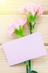 Blank greeting card with Carnation flowers.