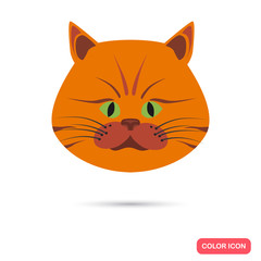 Cat muzzle color flat icon