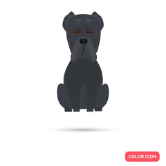 Dog color flat icon