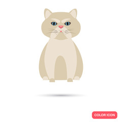 Cat color flat icon