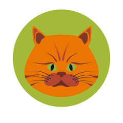Cat muzzle color flat icon