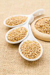 Golden flax seeds or linseeds in white spoon.