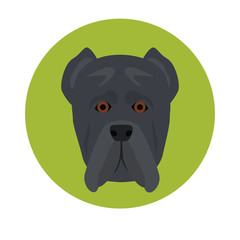 Dog muzzle color icon