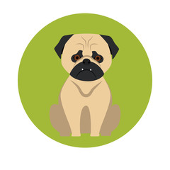 Dog color flat icon
