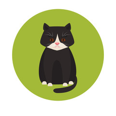 Cat color flat icon
