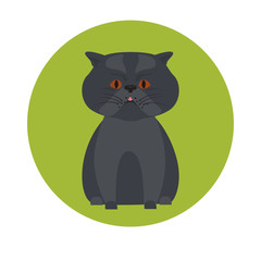 Cat color flat icon