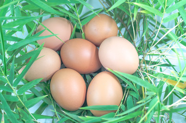 chicken eggs on bamboo leaves