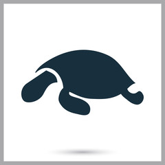 Turtle icon on the background
