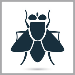 Fly icon on the background