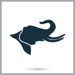 Elephant icon on the background